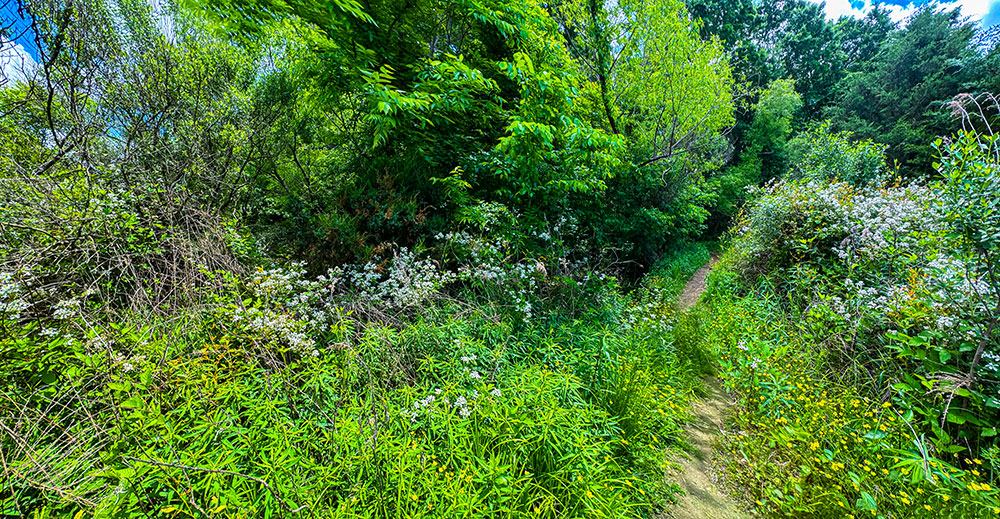 May 05, 2025 – Jim Dollar's Photography and Philosophy